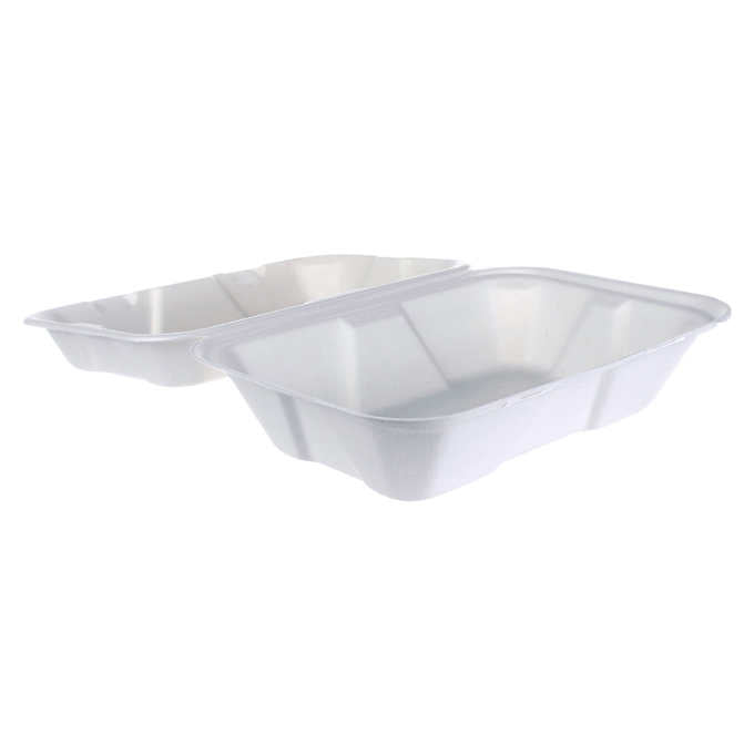 iEco Hinged Bagasse Containers 6 in × 9 in 2 packs of 50 IECO