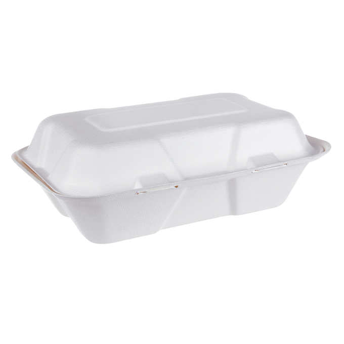 iEco Hinged Bagasse Containers 6 in × 9 in 2 packs of 50 IECO